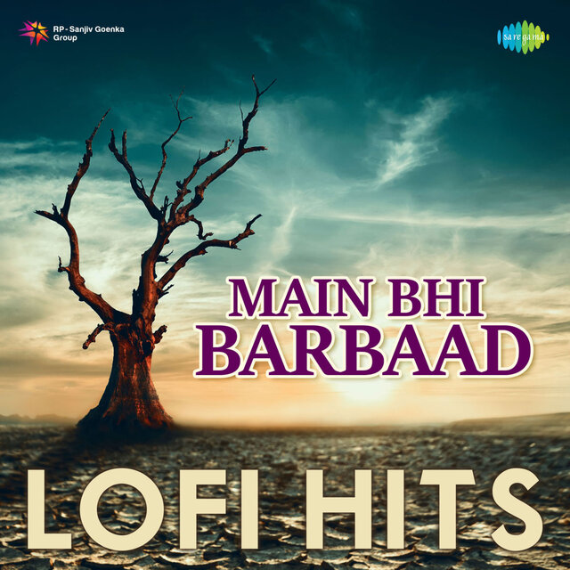 Main Bhi Barbaad (Lofi Hits)