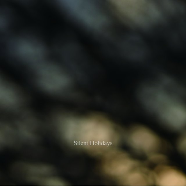 Silent Holidays