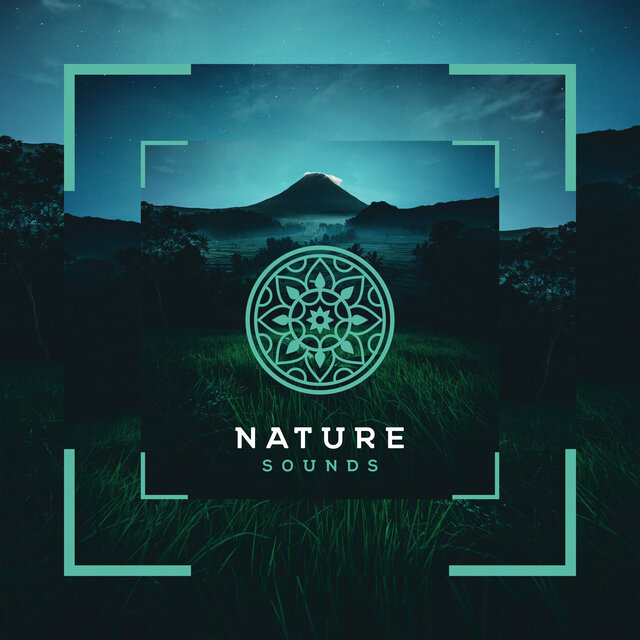 Elements Of Nature