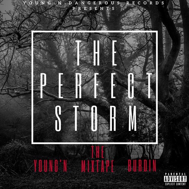 The Perfect Storm (Mixtape)