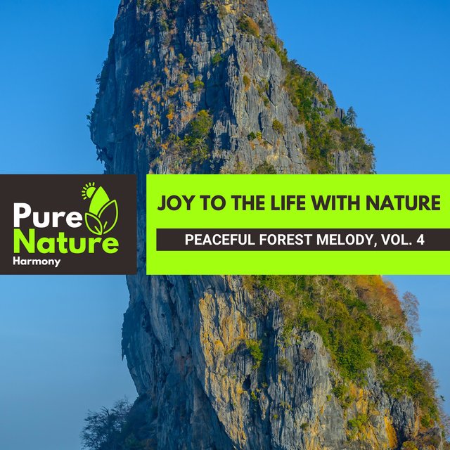 Joy to the Life with Nature - Peaceful Forest Melody, Vol. 4
