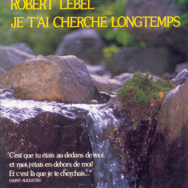 Je t'ai cherché longtemps