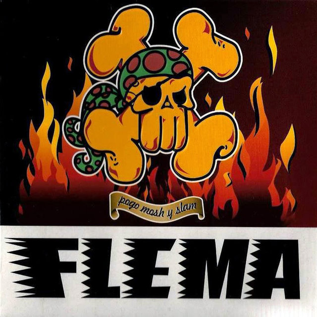 Pogo, Mosh y Slam