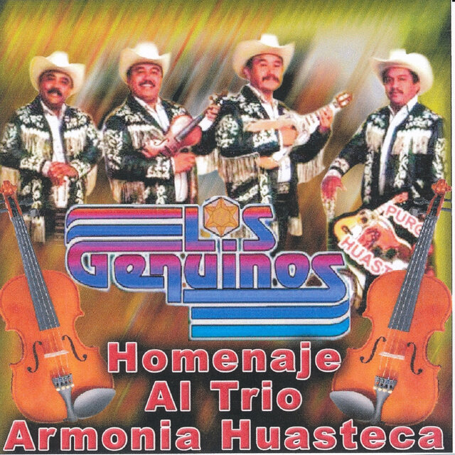 Homenaje al Trio Armonia Huasteca