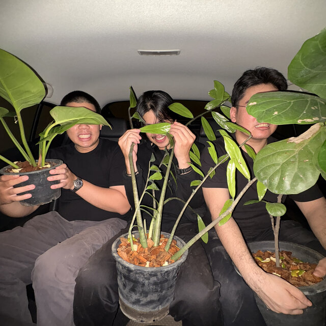 Faux Taxi