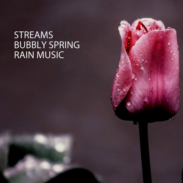 Streams: Bubbly Spring Rain Music