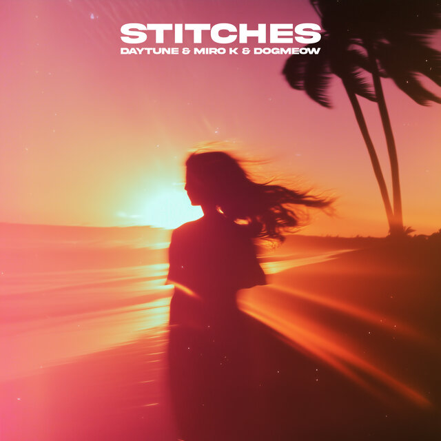 Stitches
