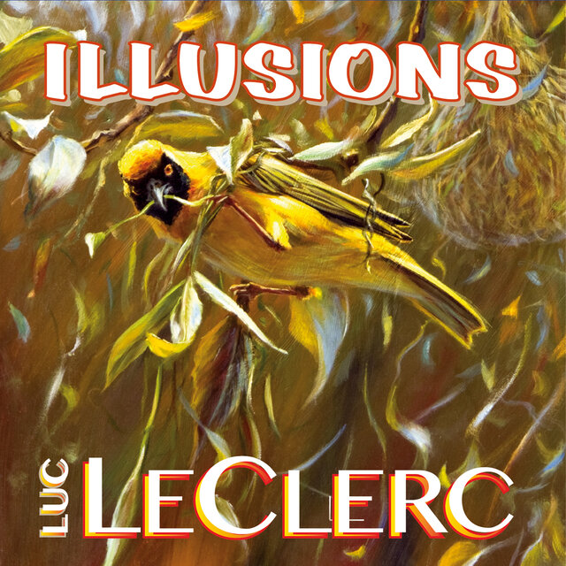 Illusions