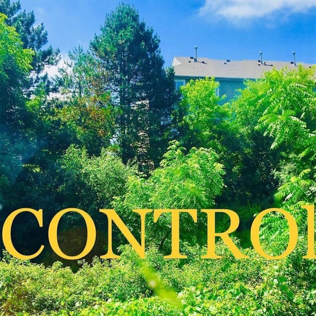 Control