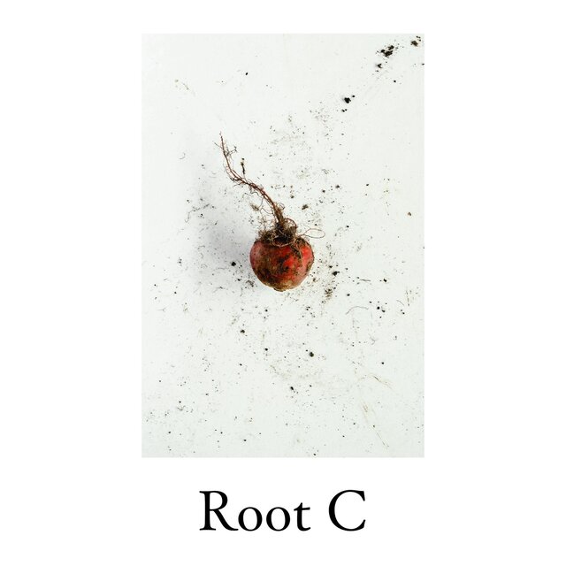 Root C