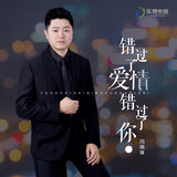 错过了爱情错过了你