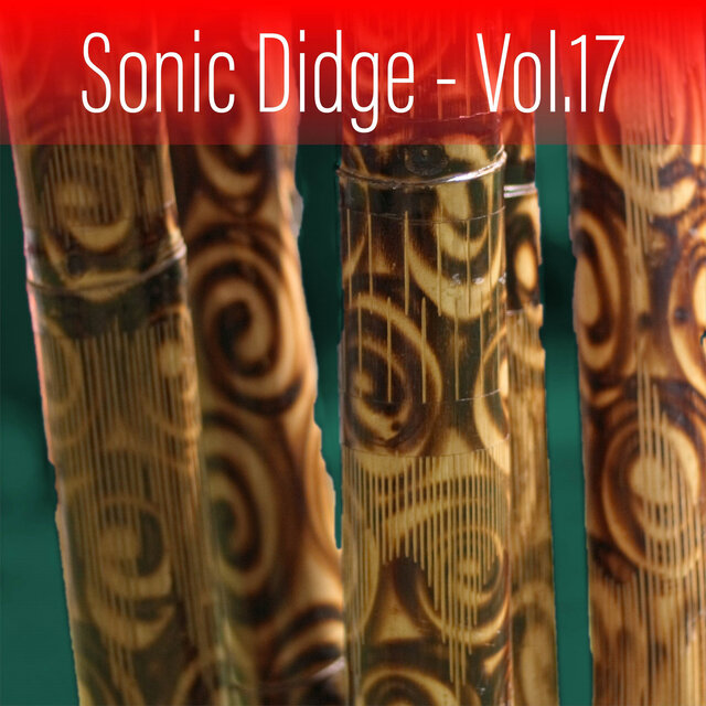 Sonic Didge, Vol. 17