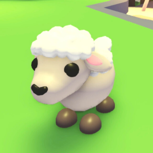 Little lamb