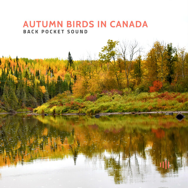 Autumn Birds In Canada