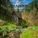 Chapter 10