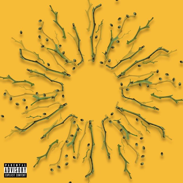 Stems & Seeds (feat. Sammie Leigh)
