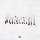 Cover art for album Funeral by Lil Wayne