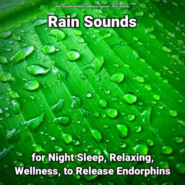 Rain Sounds for Night Sleep, Relaxing, Wellness, to Release Endorphins
