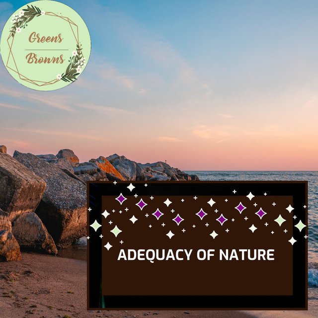 Adequacy of Nature