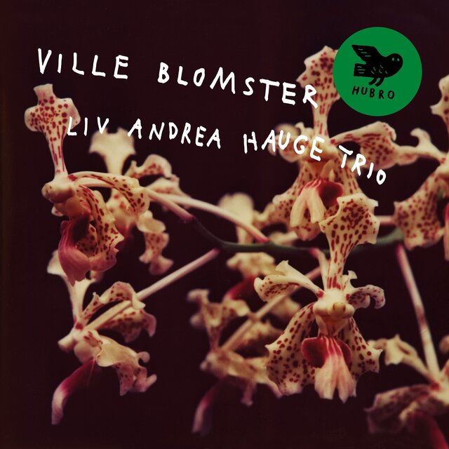 Cover art for album Ville Blomster by Liv Andrea Hauge Trio, Liv Andrea Hauge, Georgia Wartel Collins, August Glännestrand