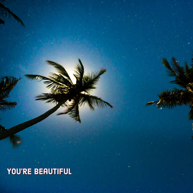 You're Beautiful (Cover)