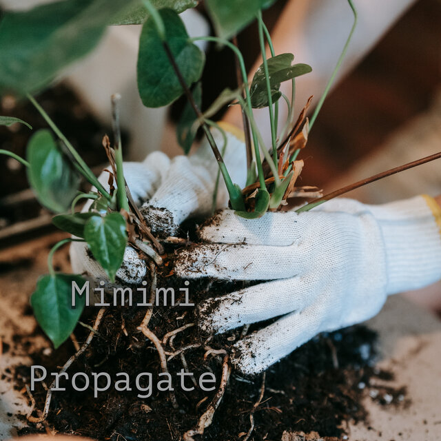 Propogate