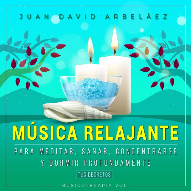 Música Relajante Para Meditar, Sanar, Concentrarse y Dormir Profundamente Musicoterapia, Vol. 1