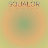 Squalor Indoors