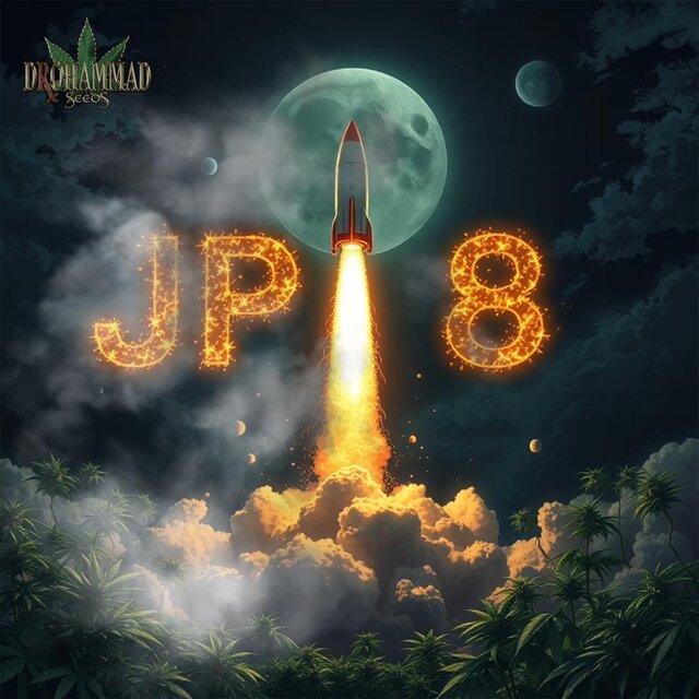 Jp8