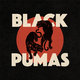 Cover art for album Black Pumas by Black Pumas