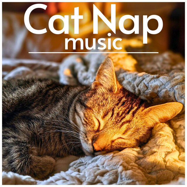 Cat Nap Music