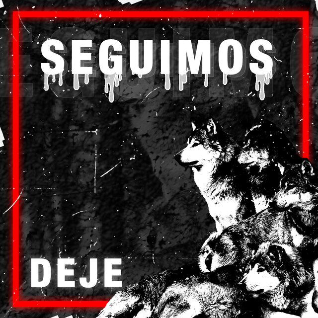 Seguimos