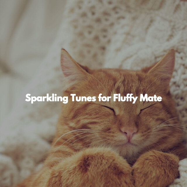 Sparkling Tunes for Fluffy Mate