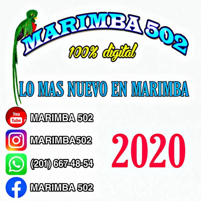 Lo Nuevo en Marimba 2020