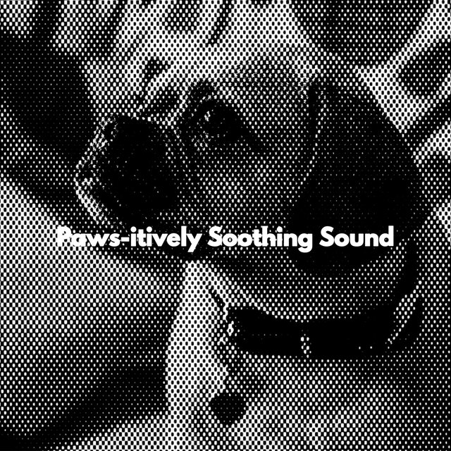 Paws-itively Soothing Sound