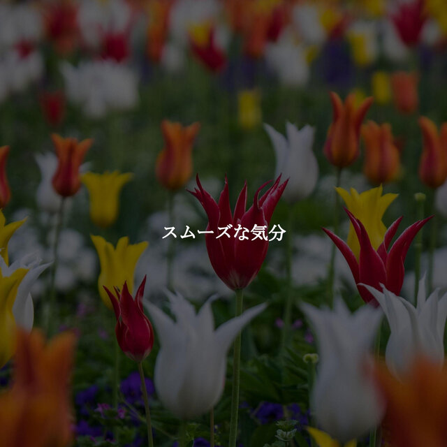 スムーズな気分