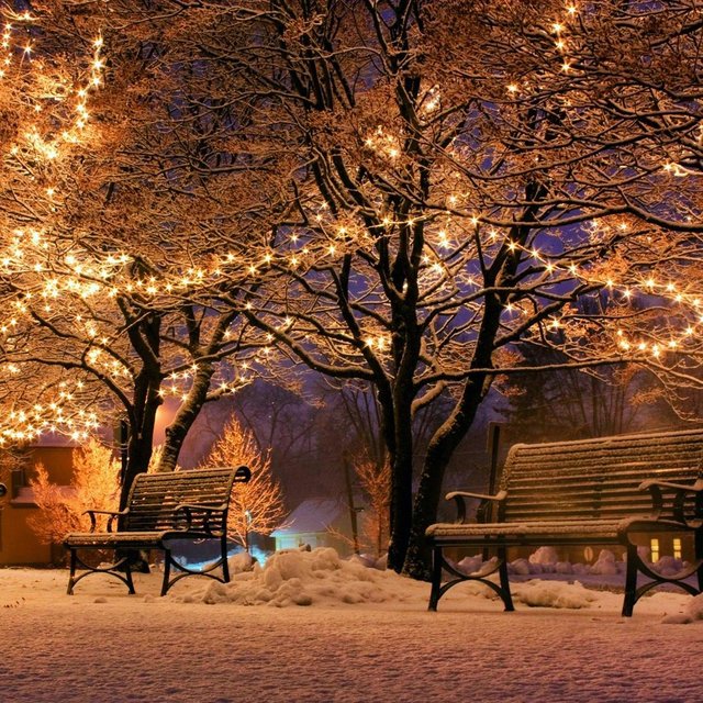 Home for Christmas
