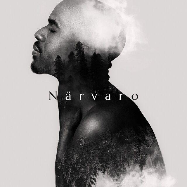 Närvaro (Där Stillheten Bor, Mindfulness)