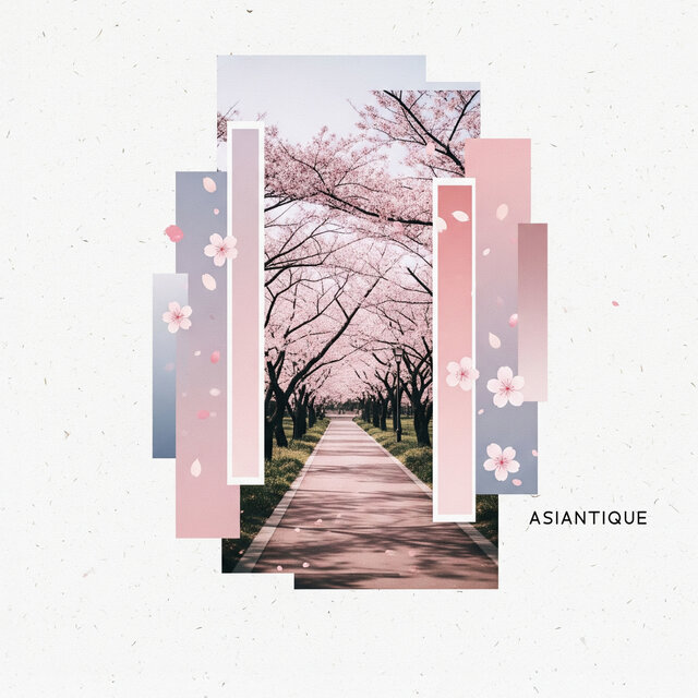Cherry Blossom Pathways