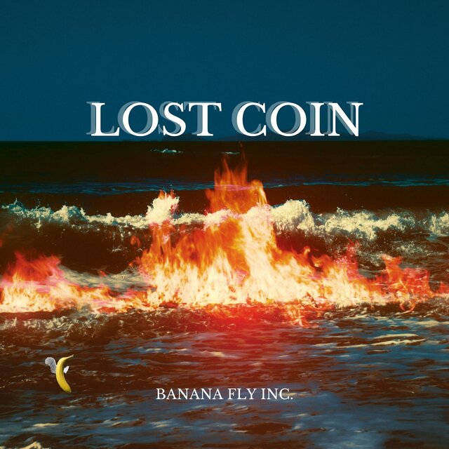 Lost Coin