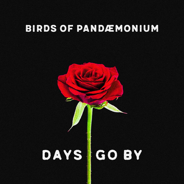 Days Go By