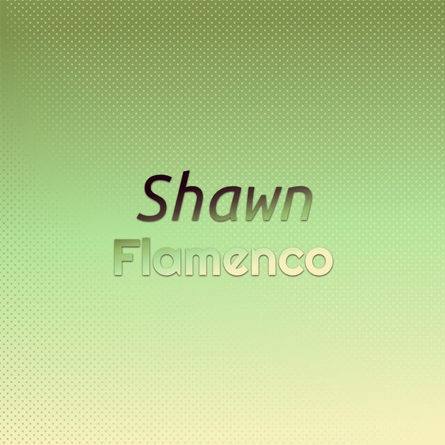 Shawn Flamenco