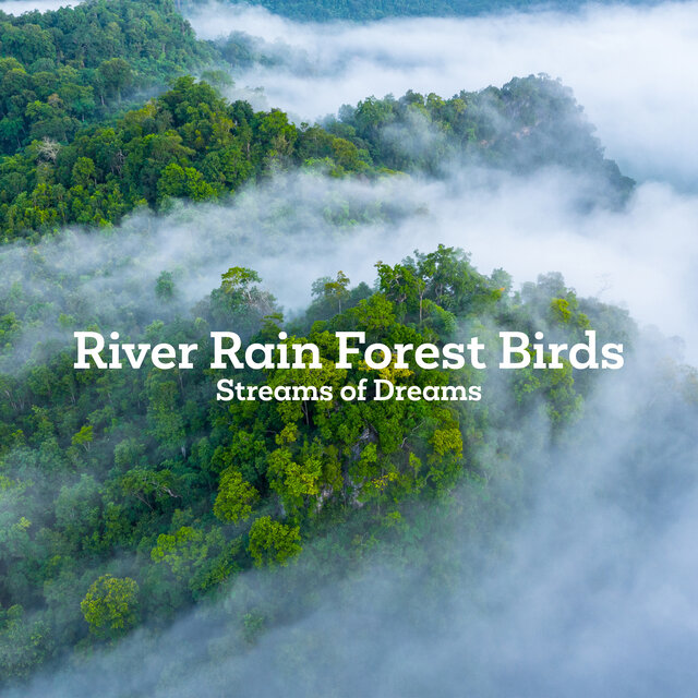 River Rain Forest Birds