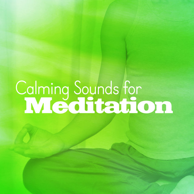 Calming Sounds for Meditation