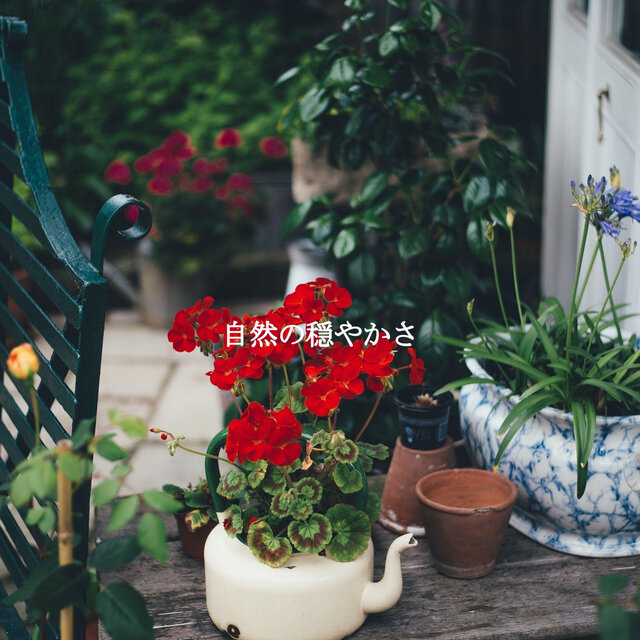 自然の穏やかさ