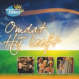 U Zij de Glorie