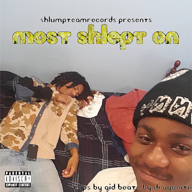 Most Shlept On