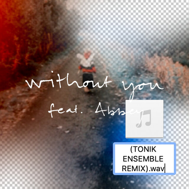 Without You (Tonik Ensemble Remix)
