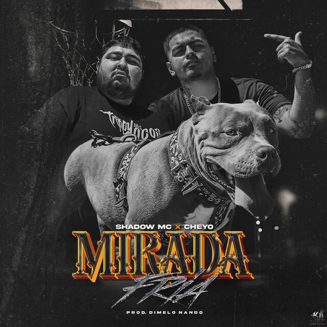 Mirada Fria (feat. El Cheyo)