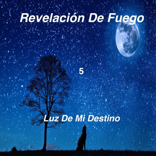 Luz De Mi Destino (Luz De Mi Destino)